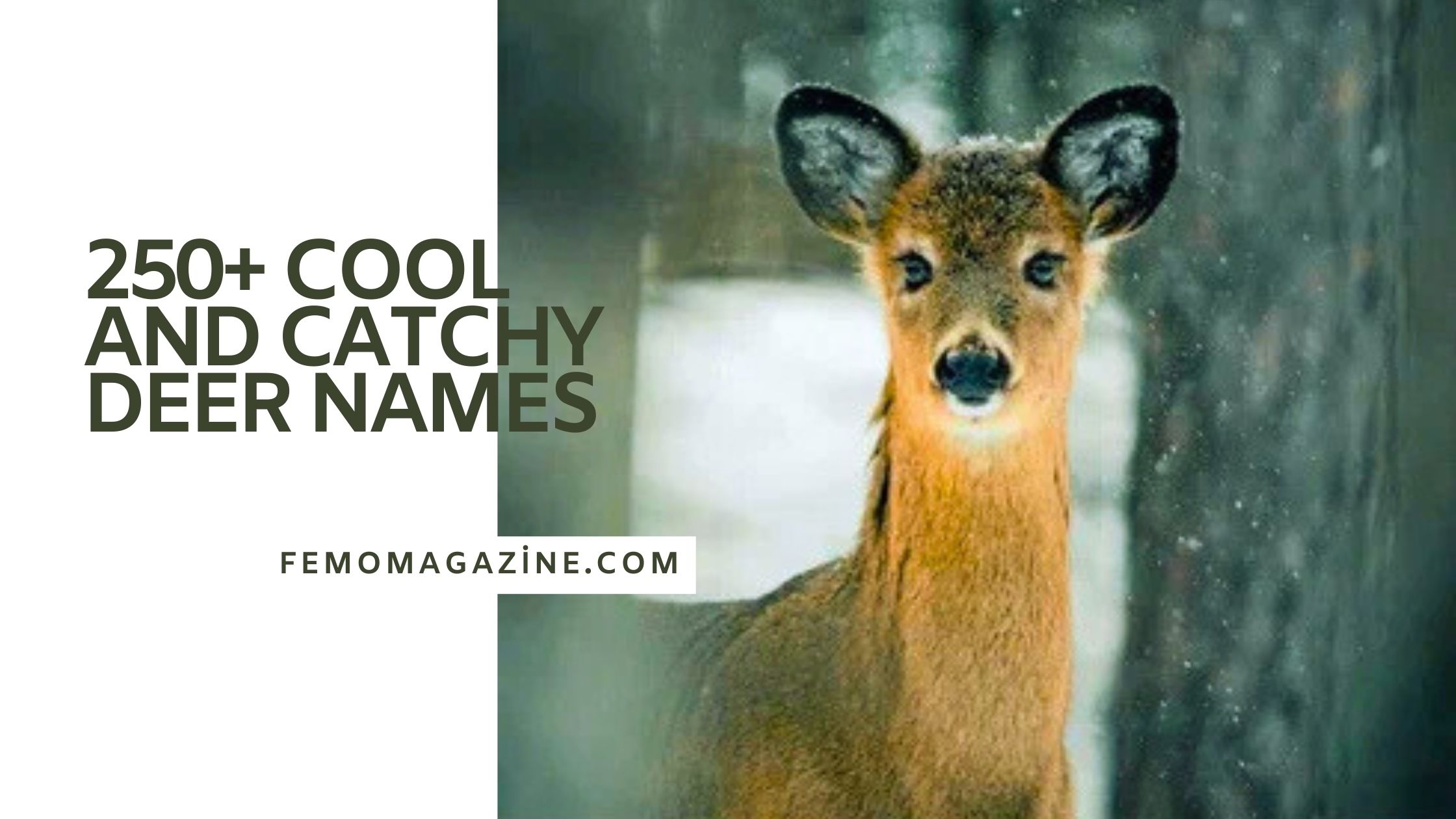 deer names