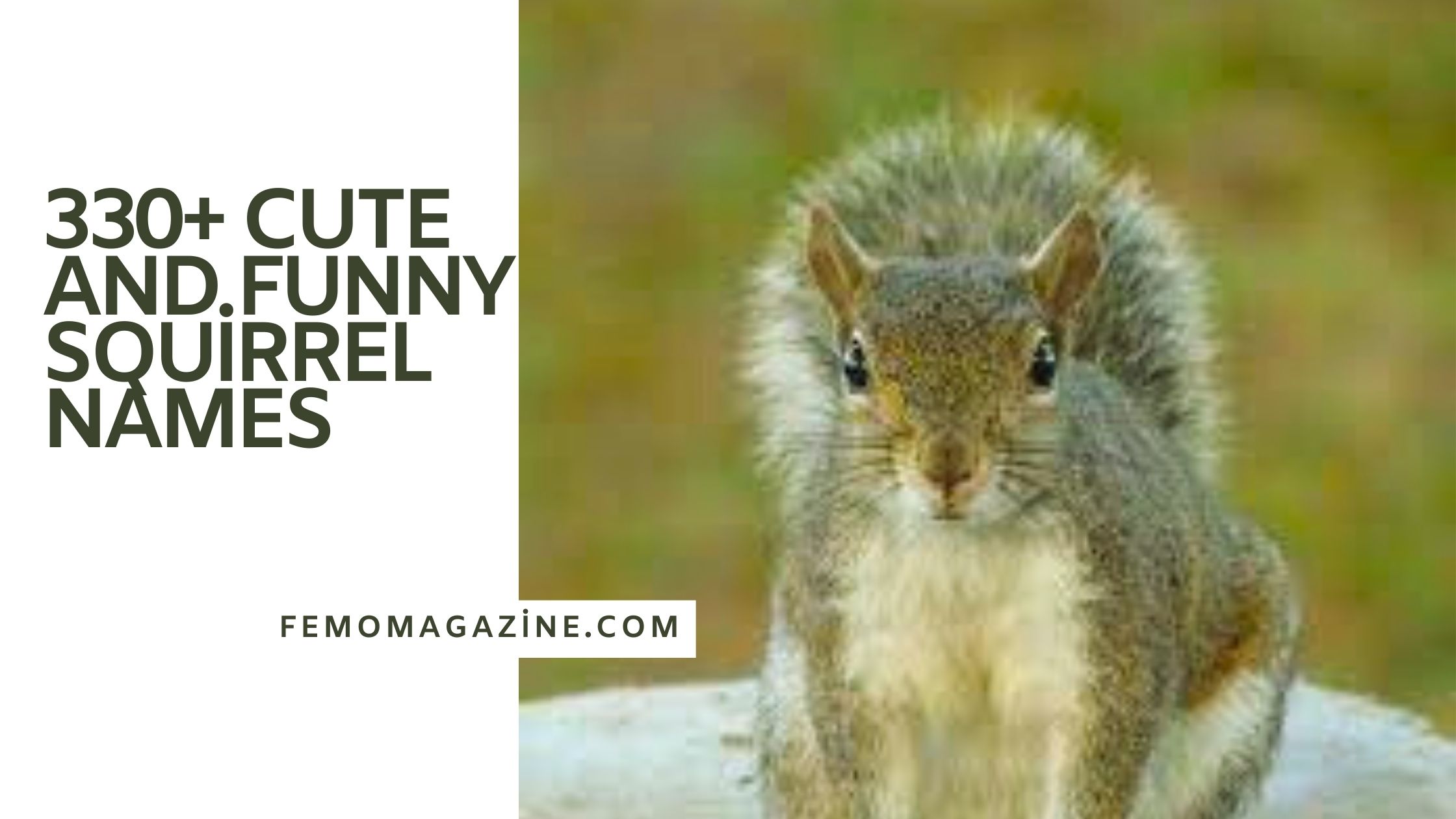 Squirrel Names