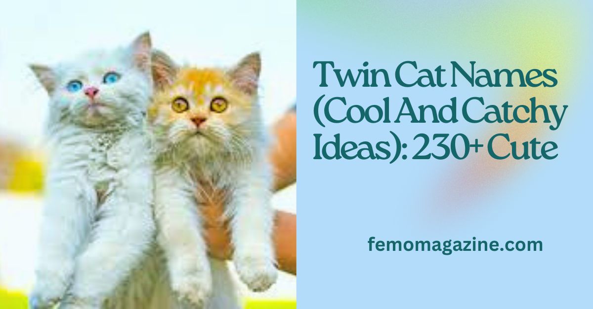 twin cat names