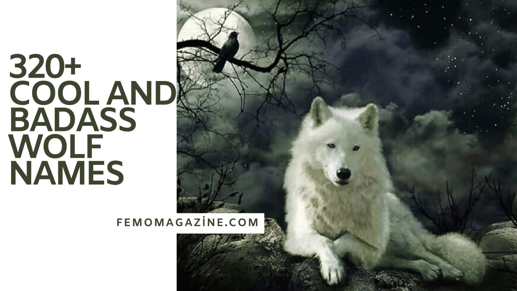 Wolf Names: 320+ Fierce and Fearless Choices for Your Wild Spirit