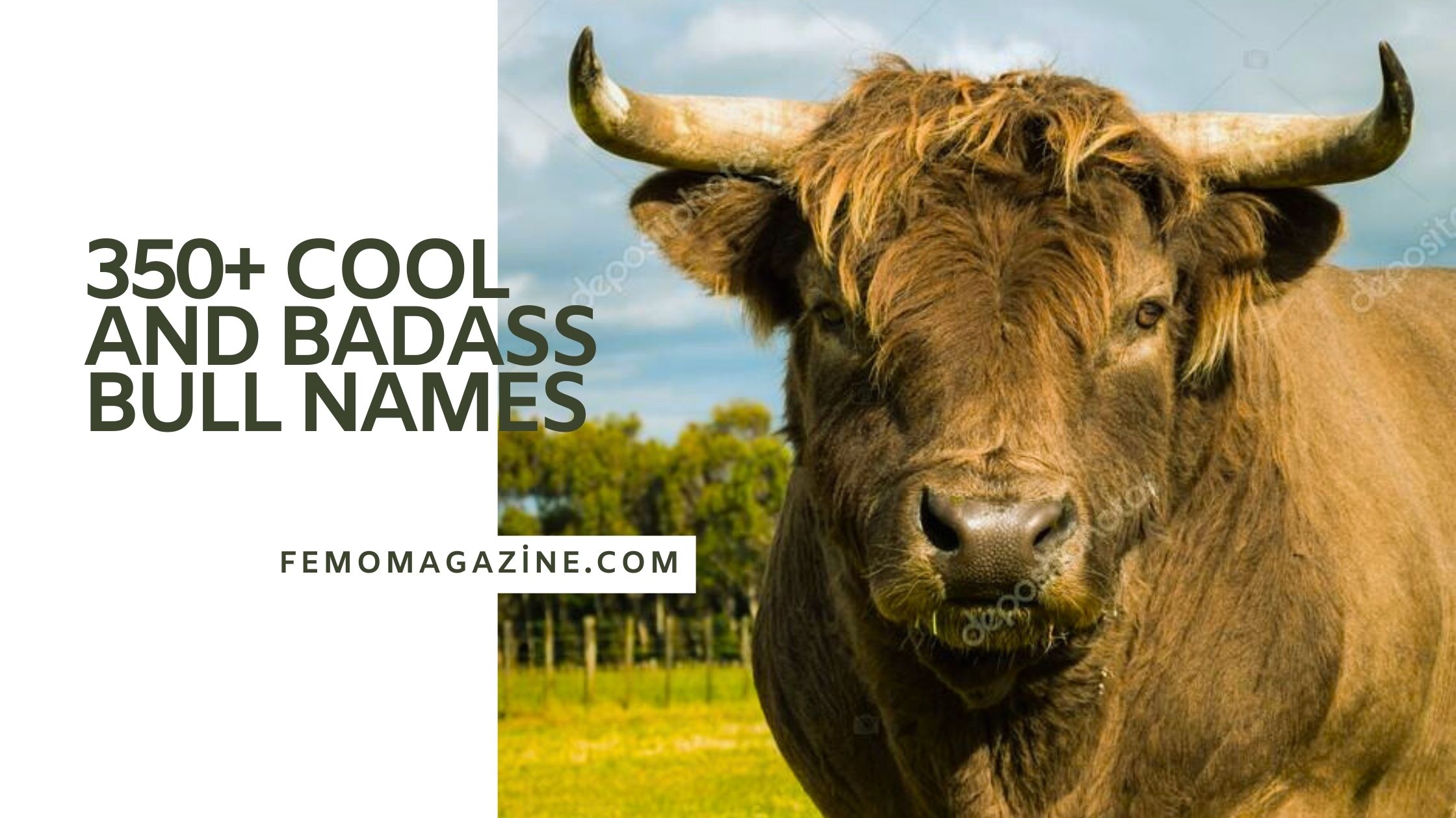 bull names