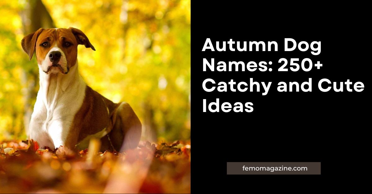 autumn dog names