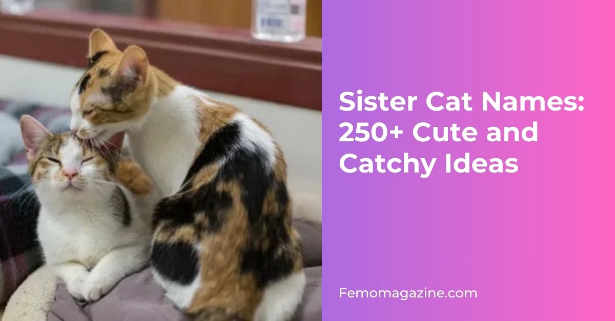 Sister Cat Names