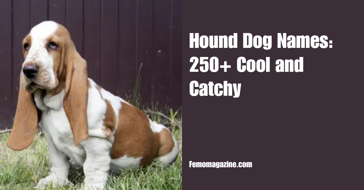 Hound Dog Names