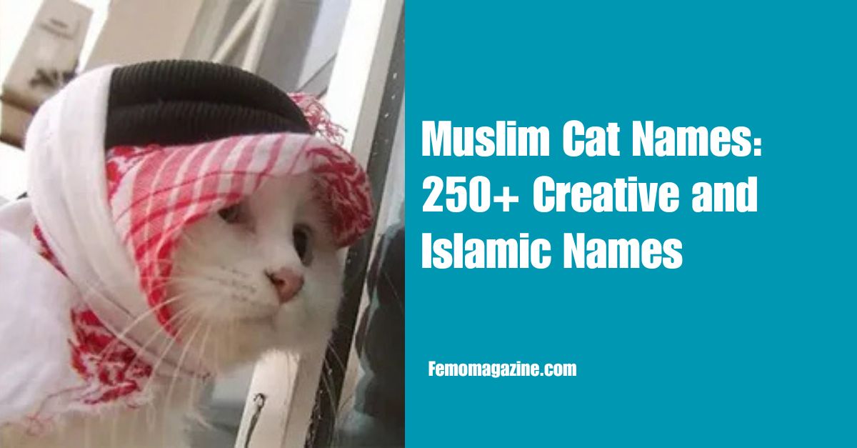 Muslim Cat Names