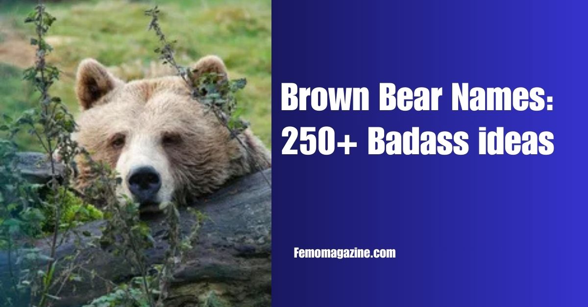 Brown Bear Names