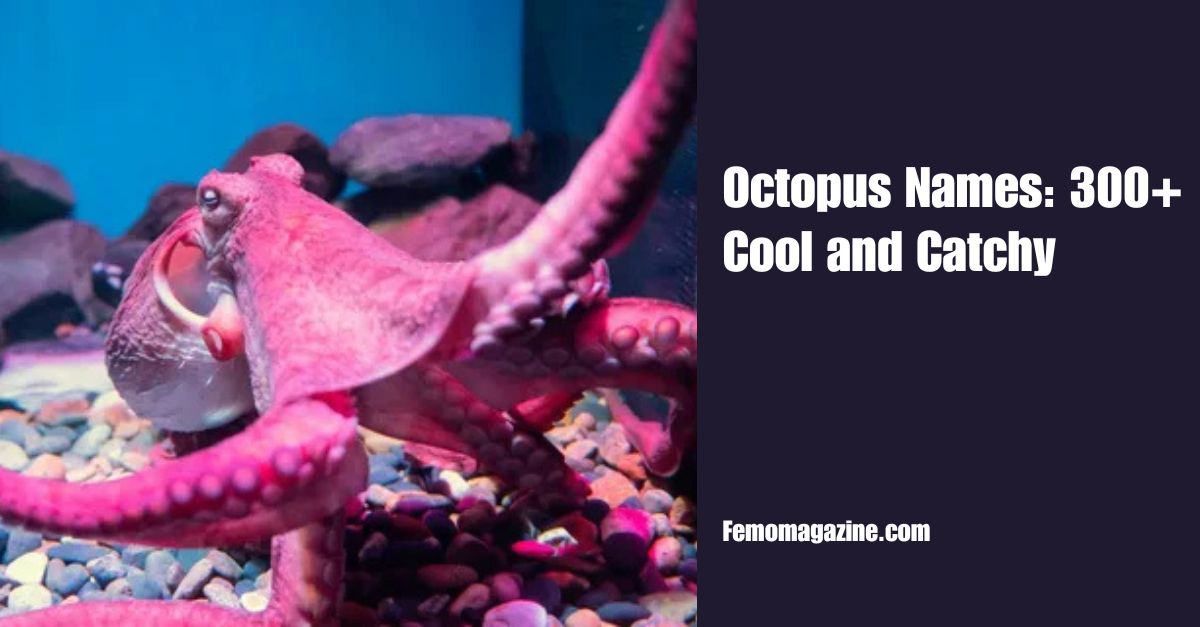 Octopus Names