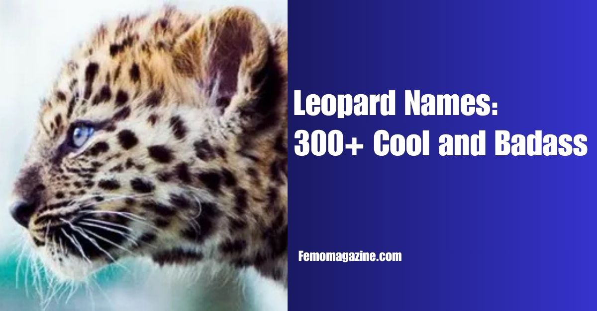 Leopard Names