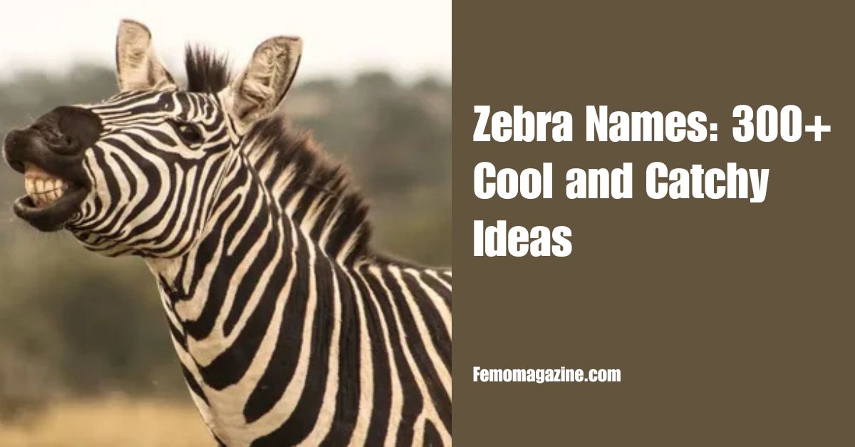 Zebra Names