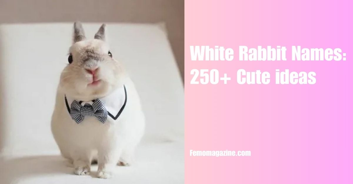 White Rabbit Names