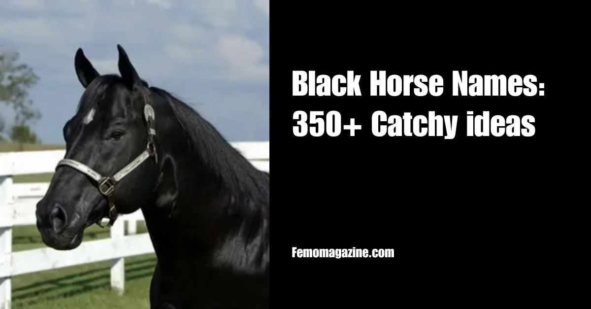 Black Horse Names