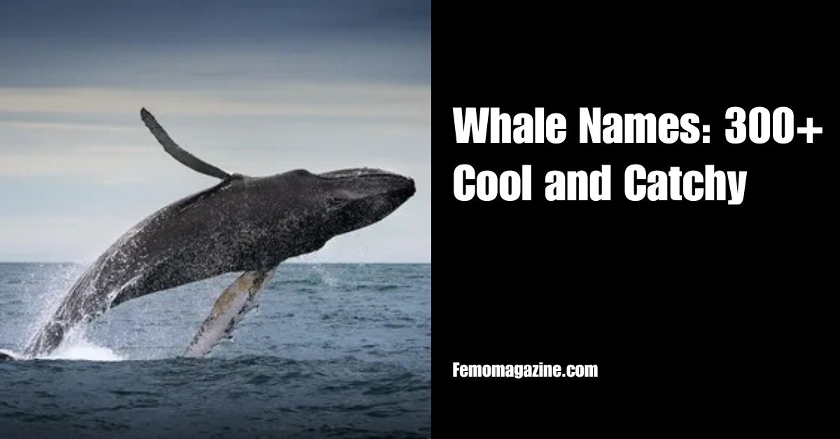 Whale Names