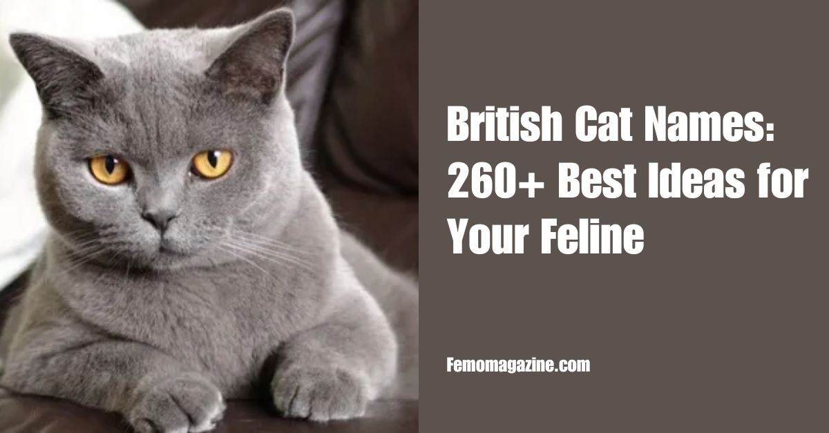 British Cat Names