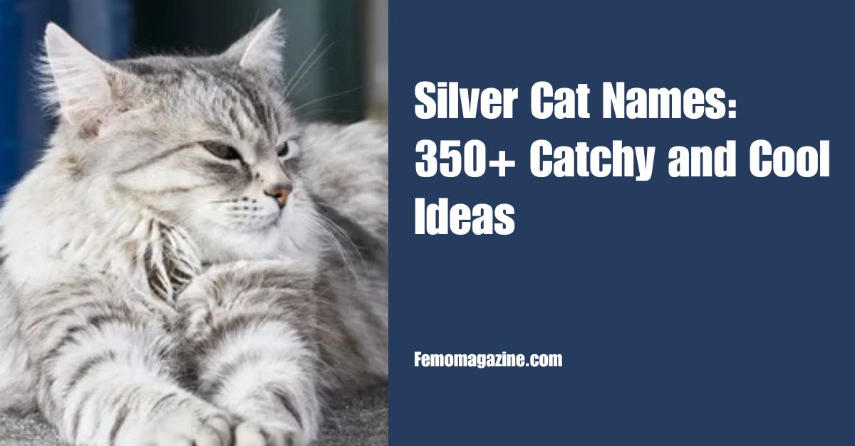 Silver Cat Names