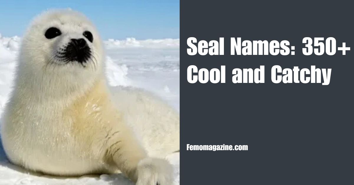 Seal Names