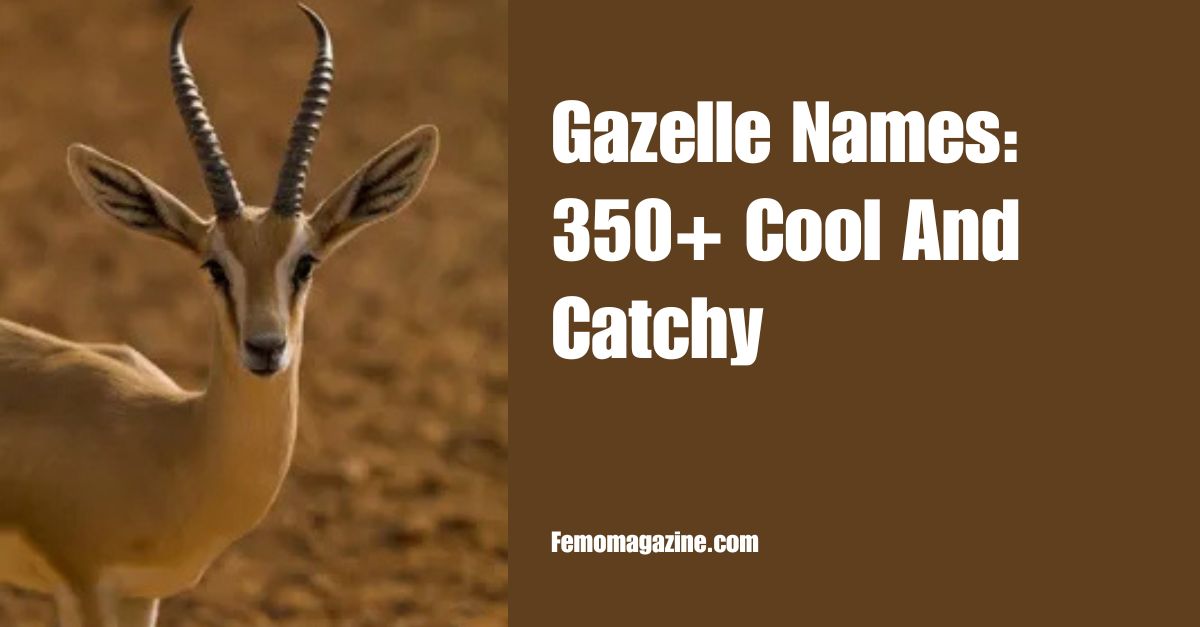 Gazelle Names