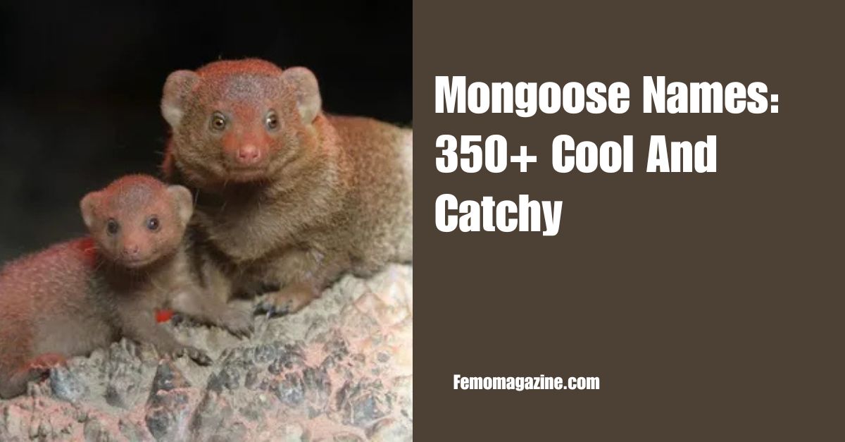 Mongoose Names