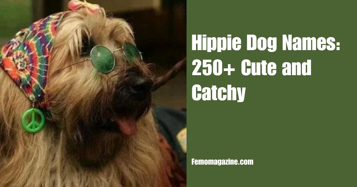 Hippie Dog Names