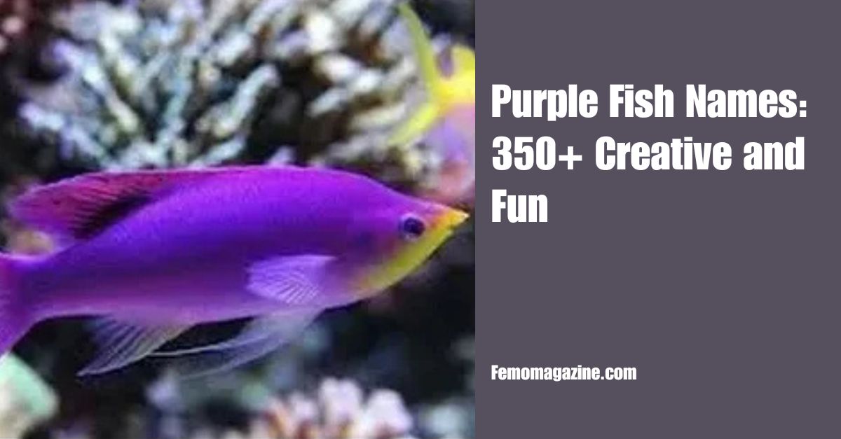 Purple Fish Names