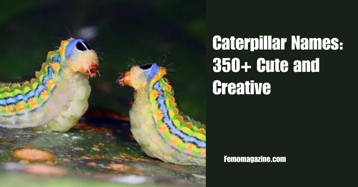 Caterpillar Names