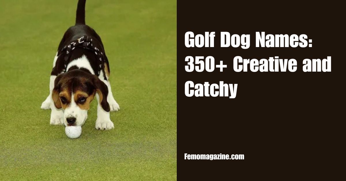 Golf Dog Names