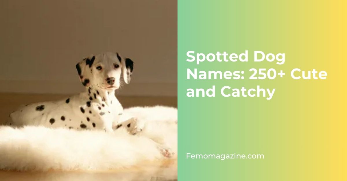 Spotted Dog Names