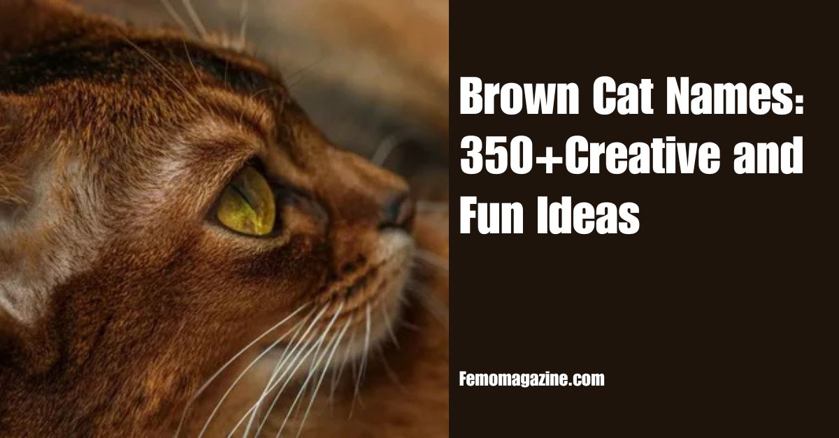 Brown Cat Names