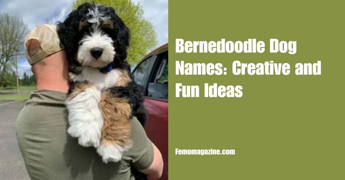 Bernedoodle Dog Names