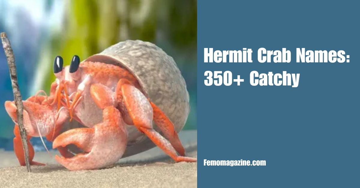 Hermit Crab Names