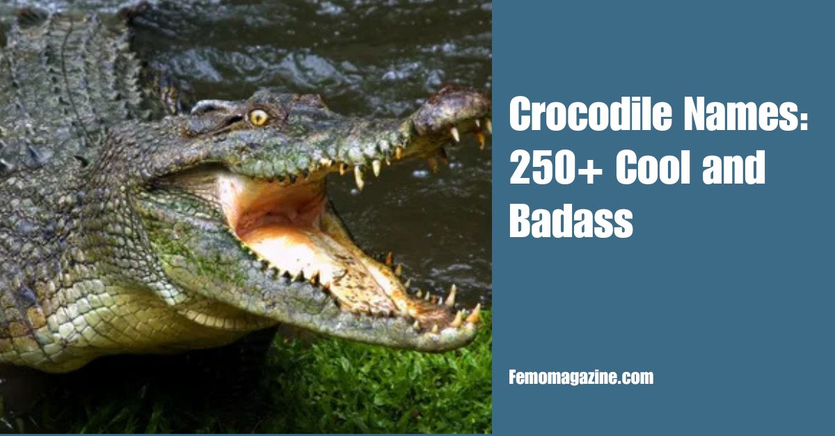 Crocodile Names