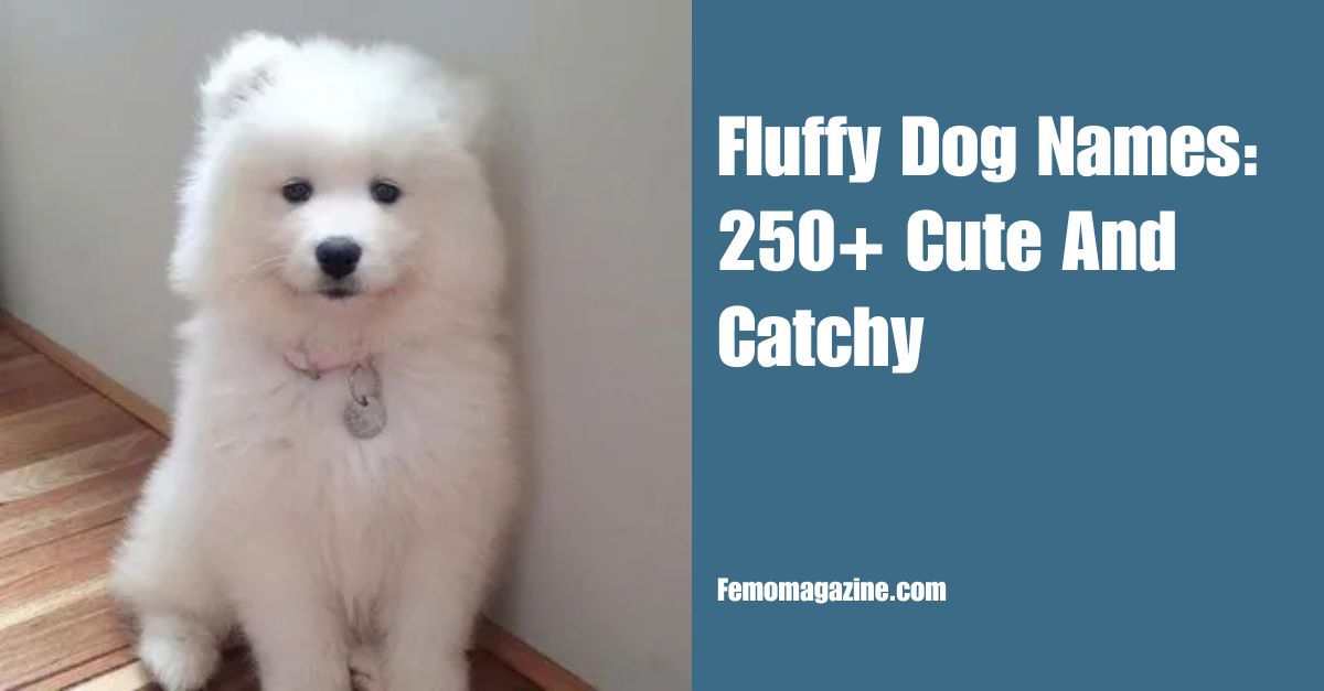 Fluffy Dog Names