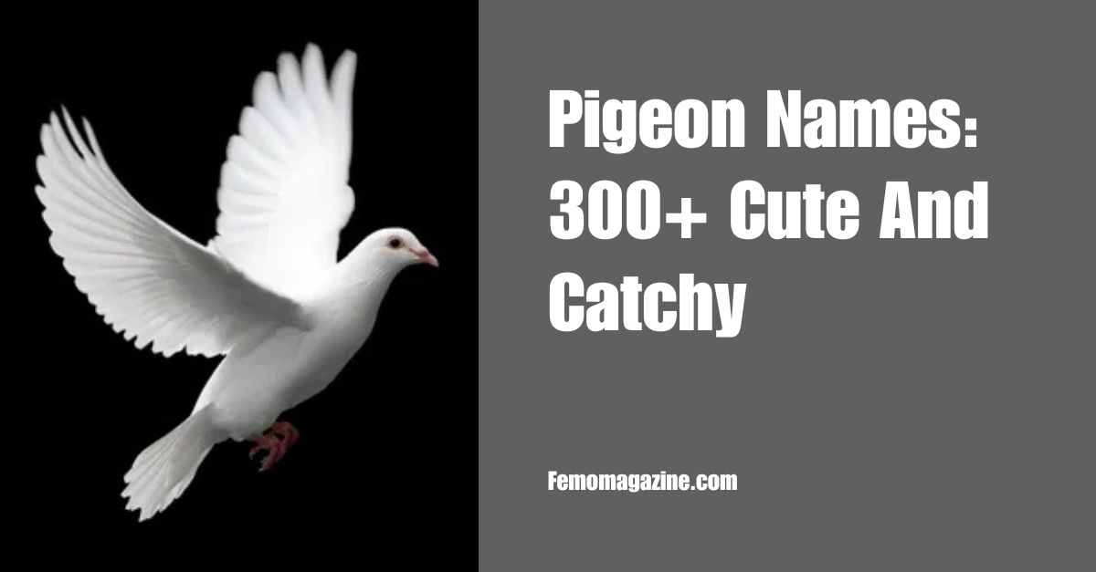 Pigeon Names