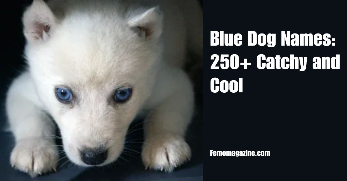 Blue Dog Names