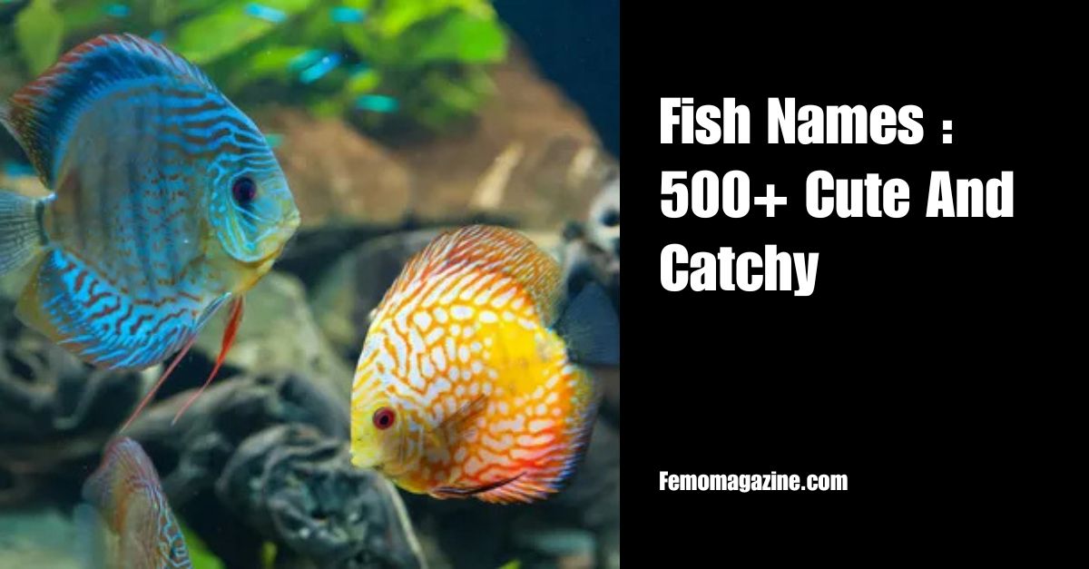 Fish Names