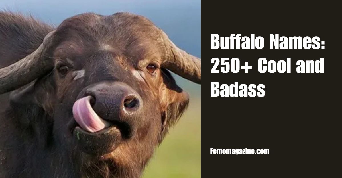 Buffalo Names