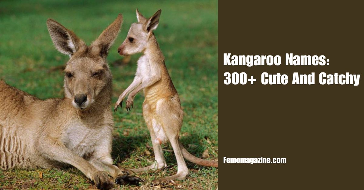 Kangaroo Names