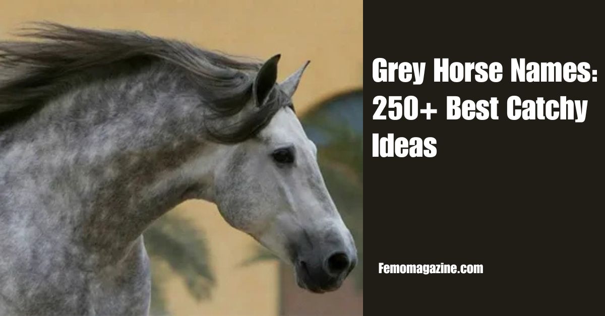 grey horse names