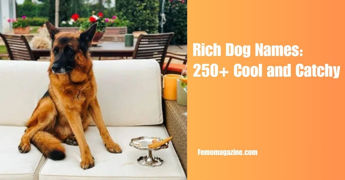 Rich Dog Names