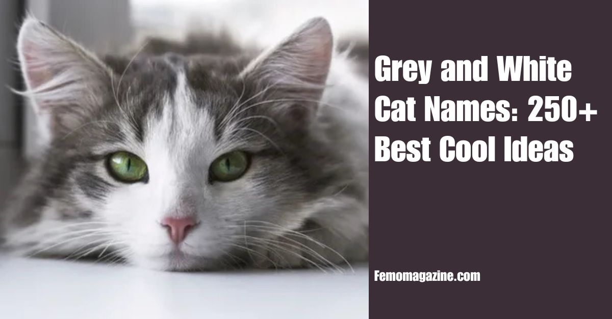 Grey and White Cat Names