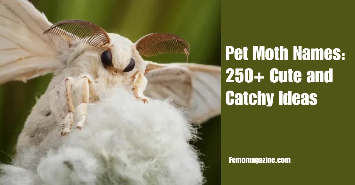 Pet Moth Names