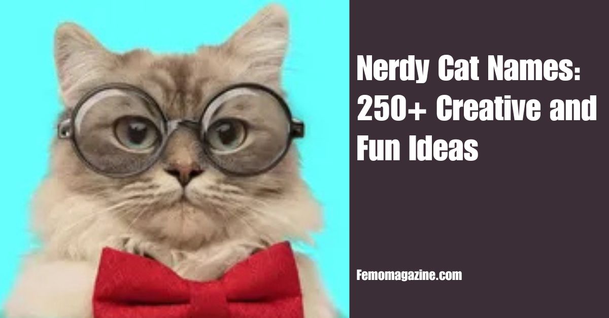 Nerdy Cat Names