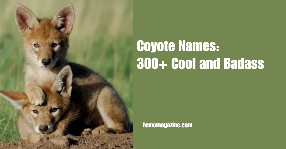 Coyote Names