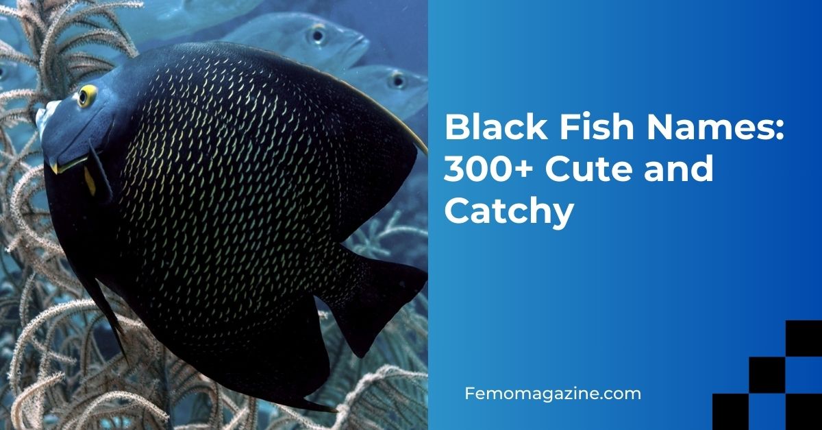 Black Fish Names