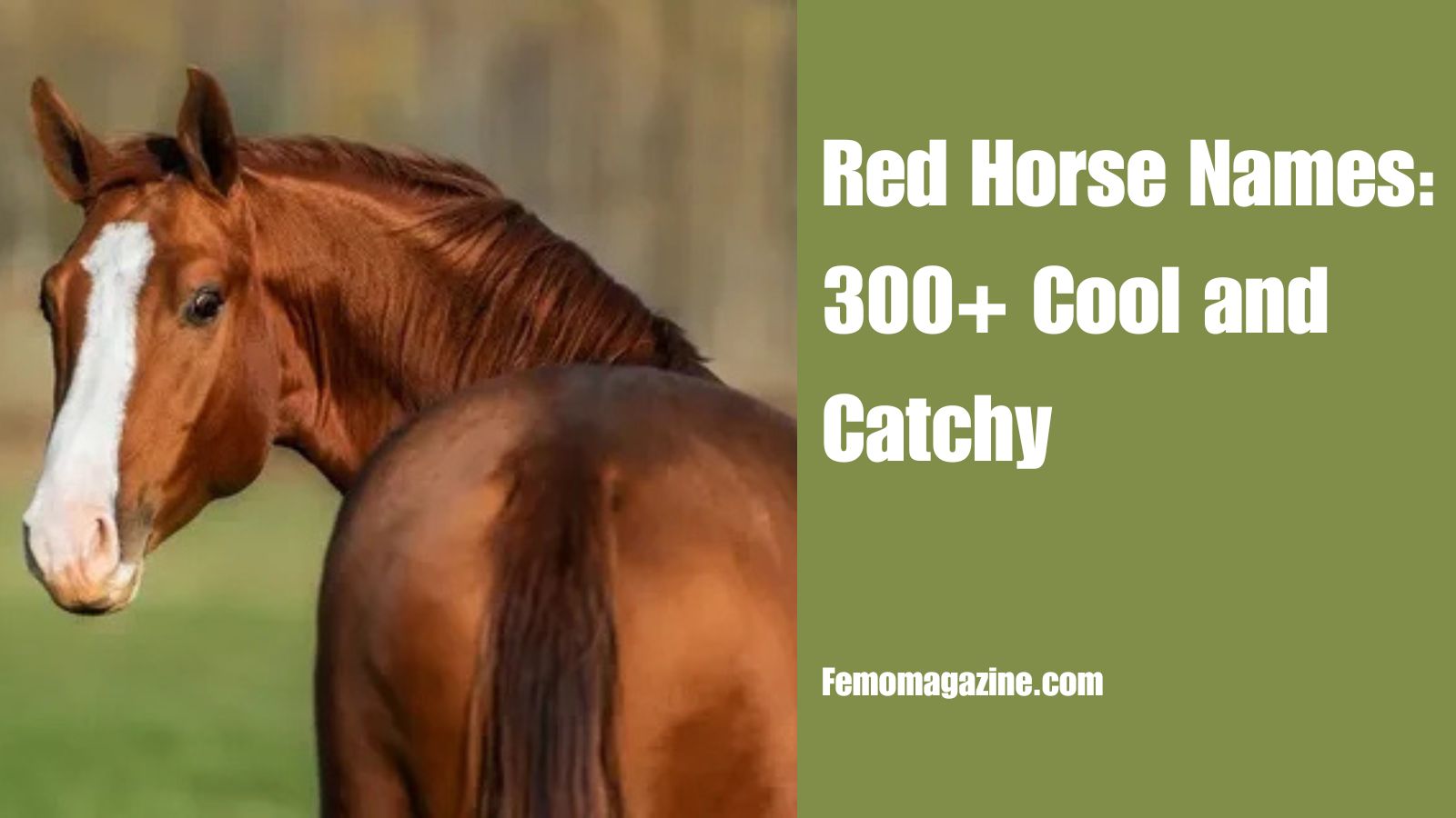 Red horse names