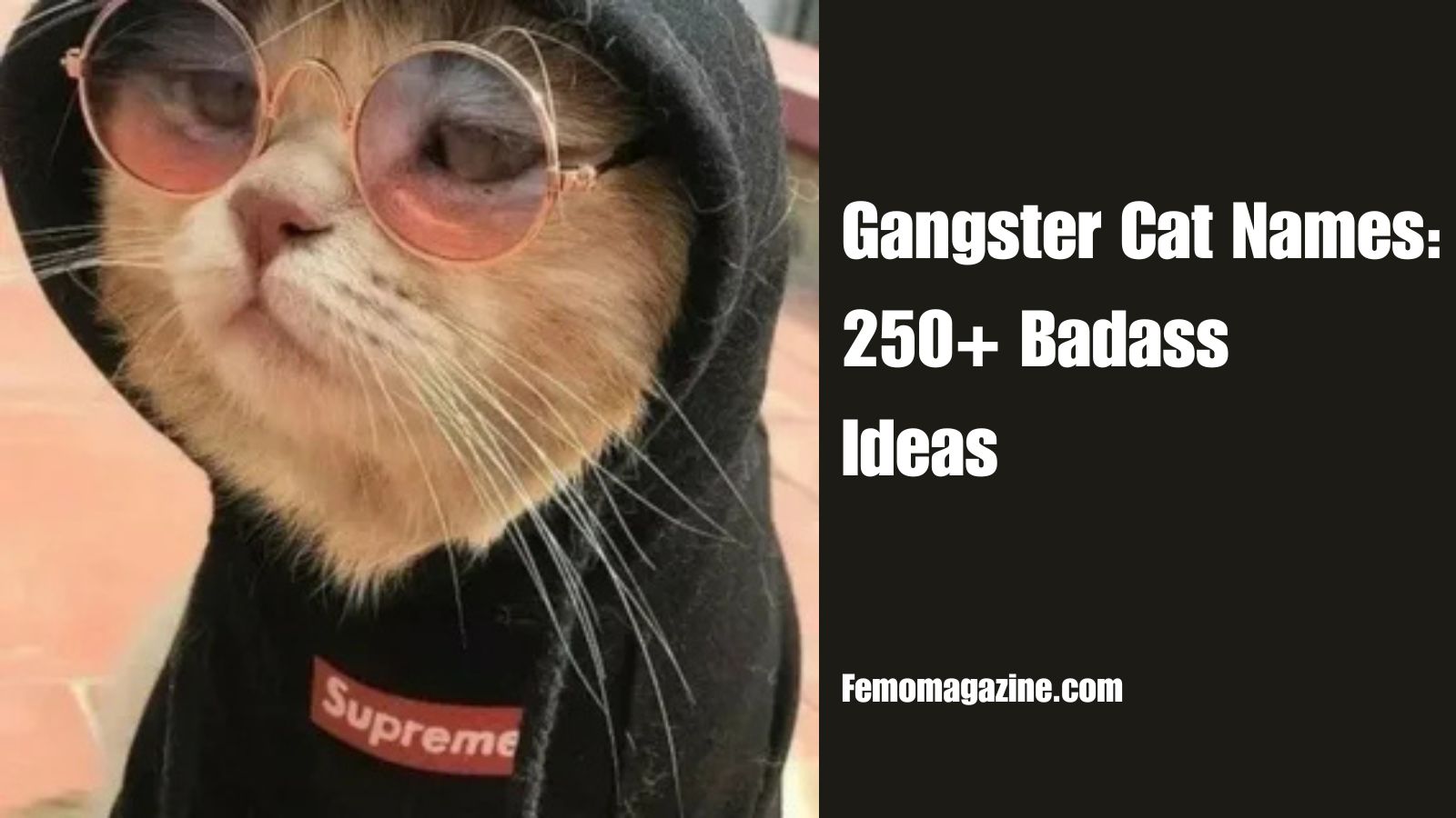 Gangster Cat Names