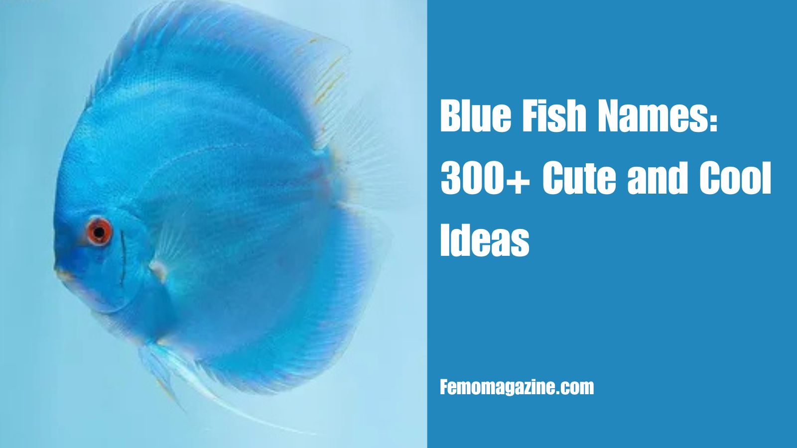 Blue Fish Names