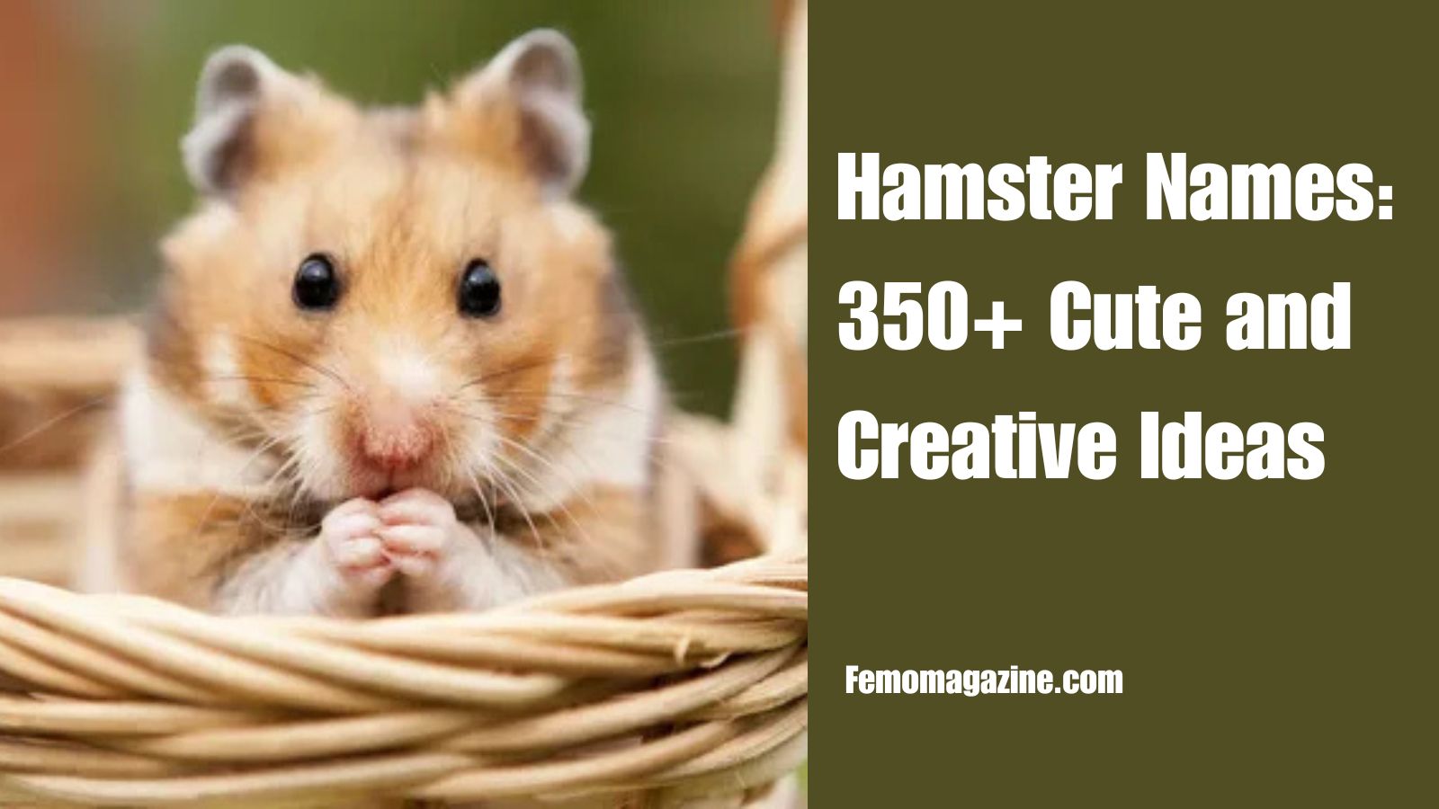 hamster names