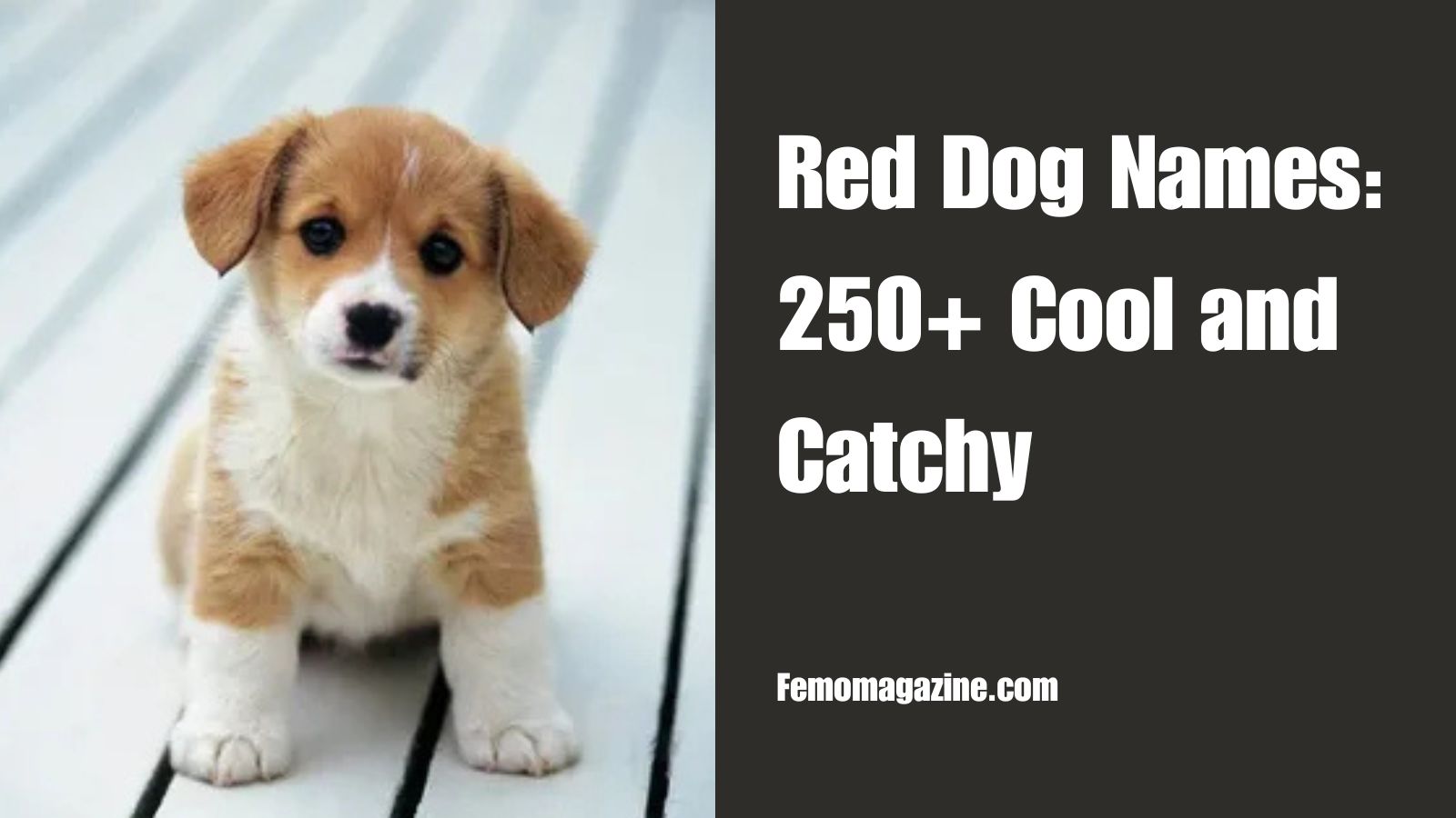 Red Dog Names