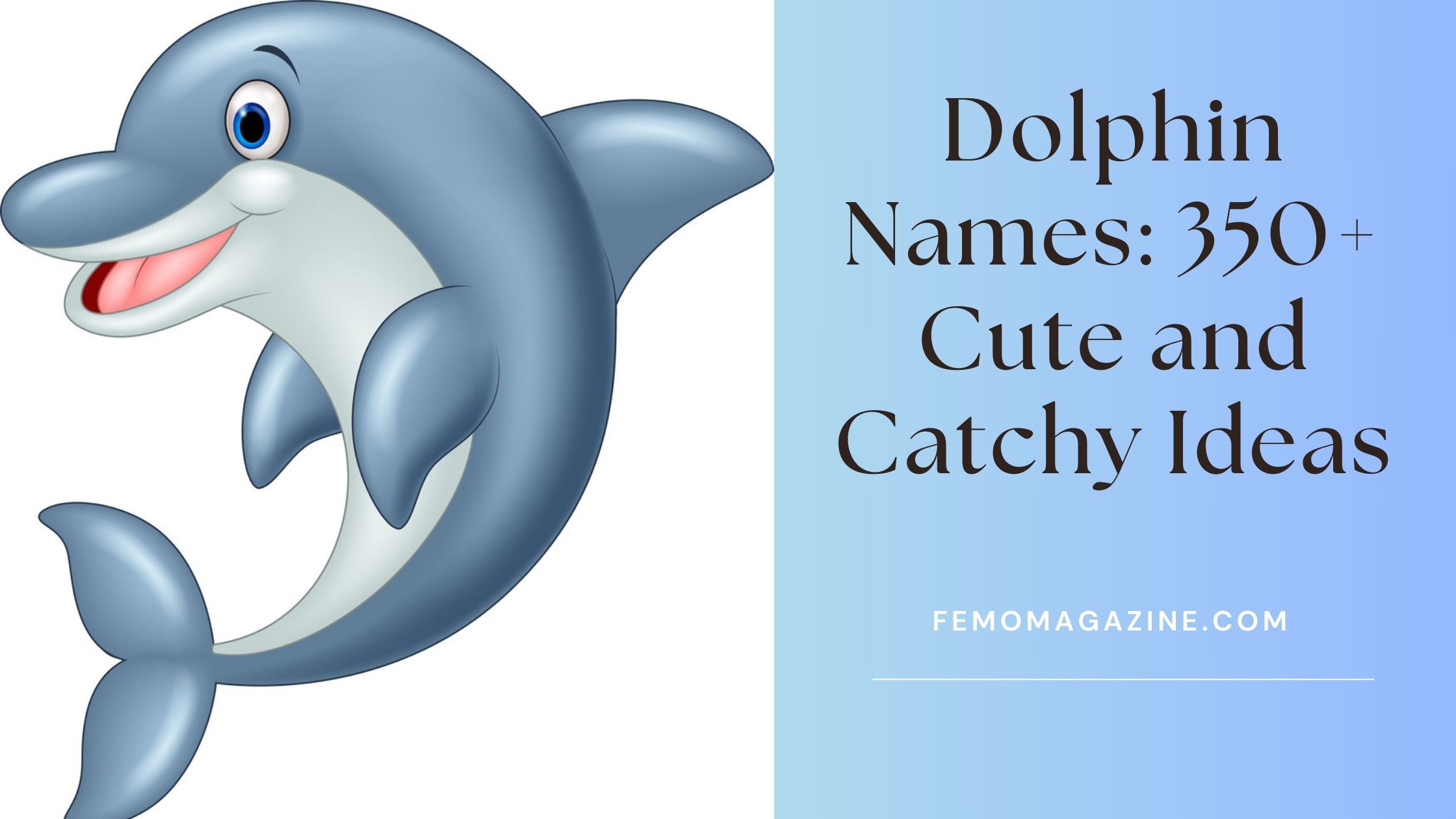 Dolphin Names