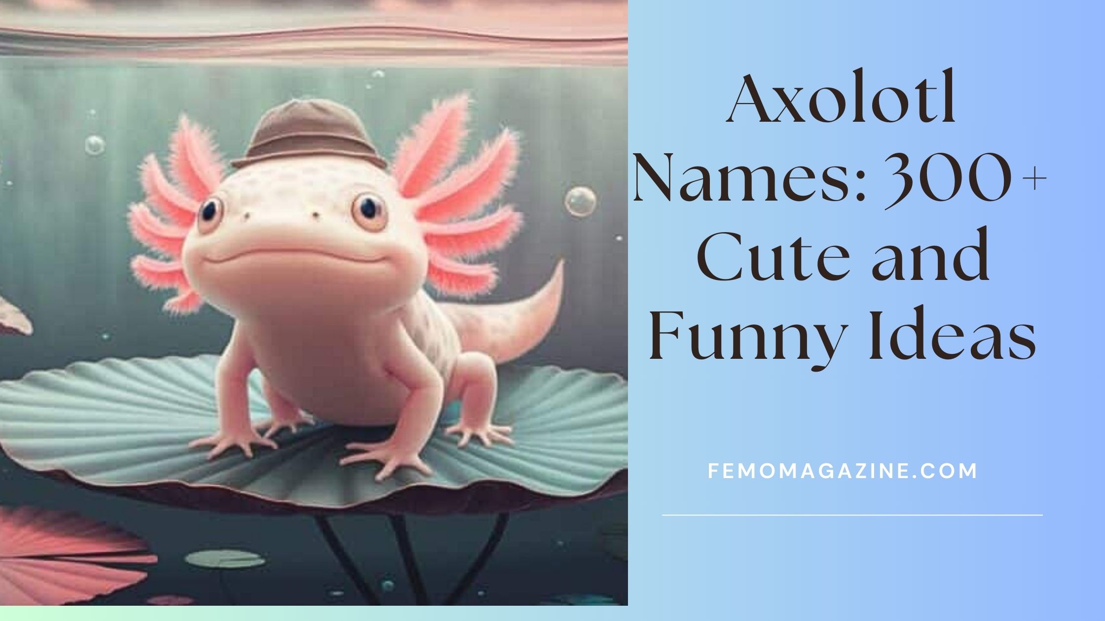 Axolotl Names